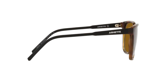 Arnette Cortex AN4291 277083