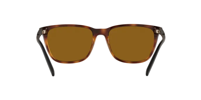 Arnette Cortex AN4291 277083