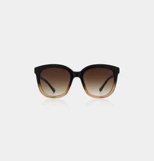 Billy Sunglasses - Black/Brown Transparent