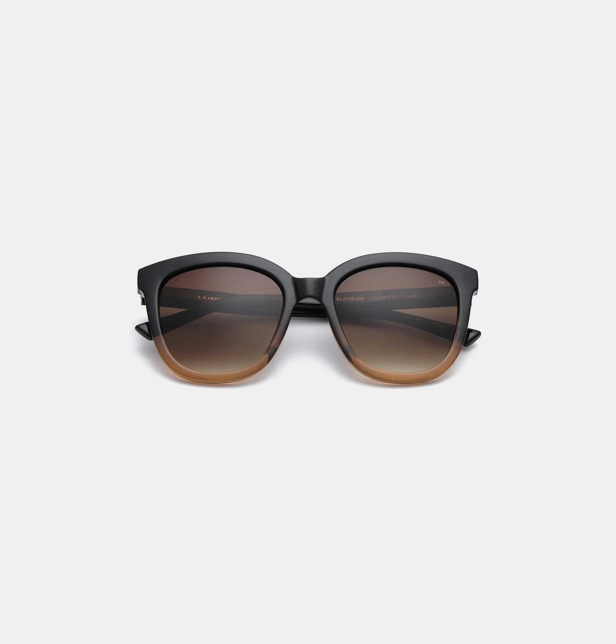 Billy Sunglasses - Black/Brown Transparent