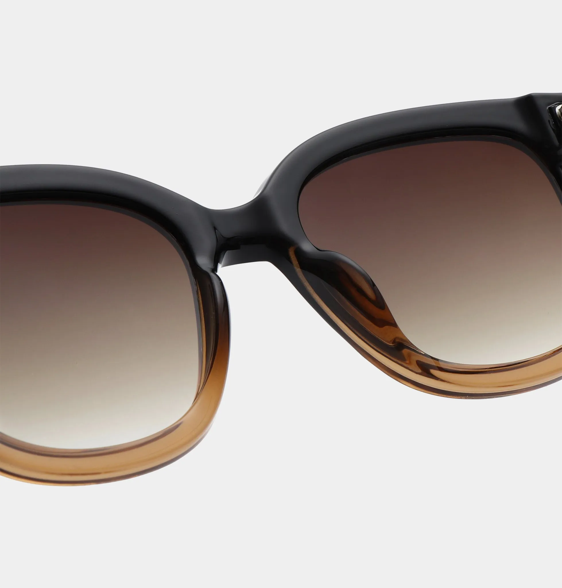 Billy Sunglasses - Black/Brown Transparent