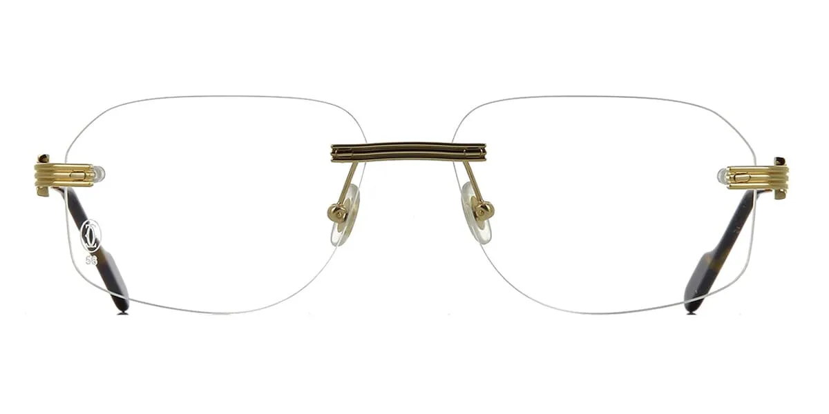 Cartier CT0284O 002