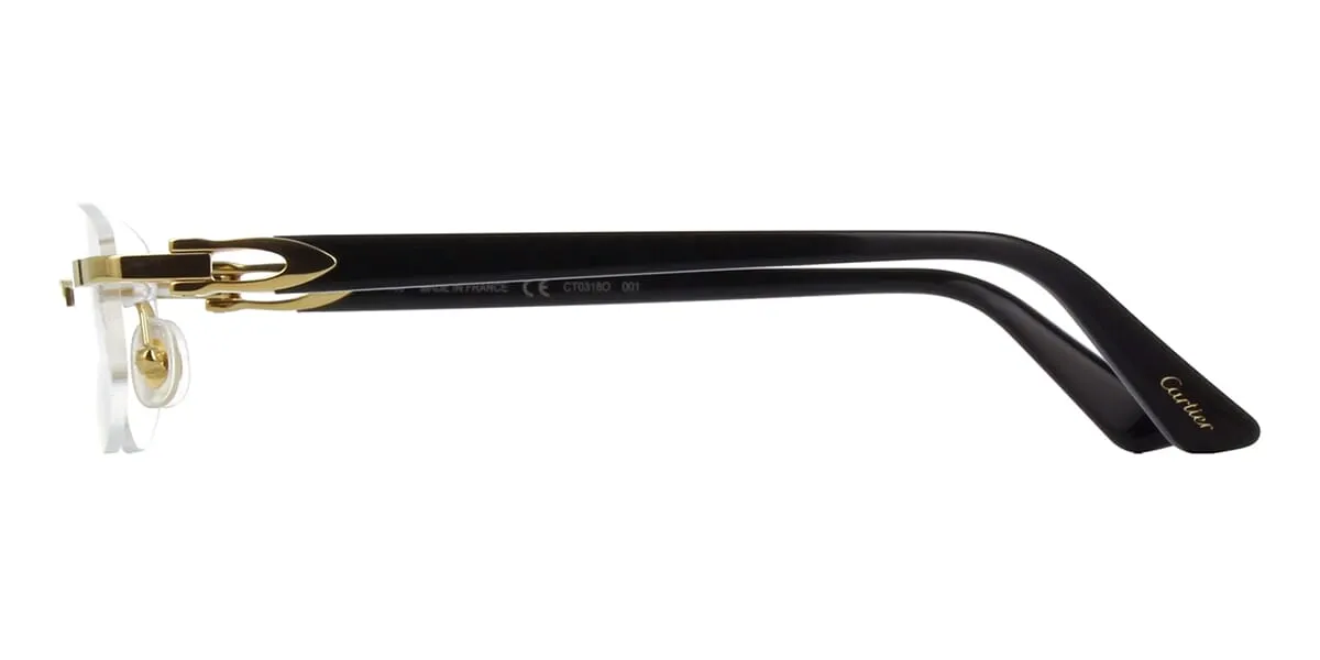Cartier CT0318O 001