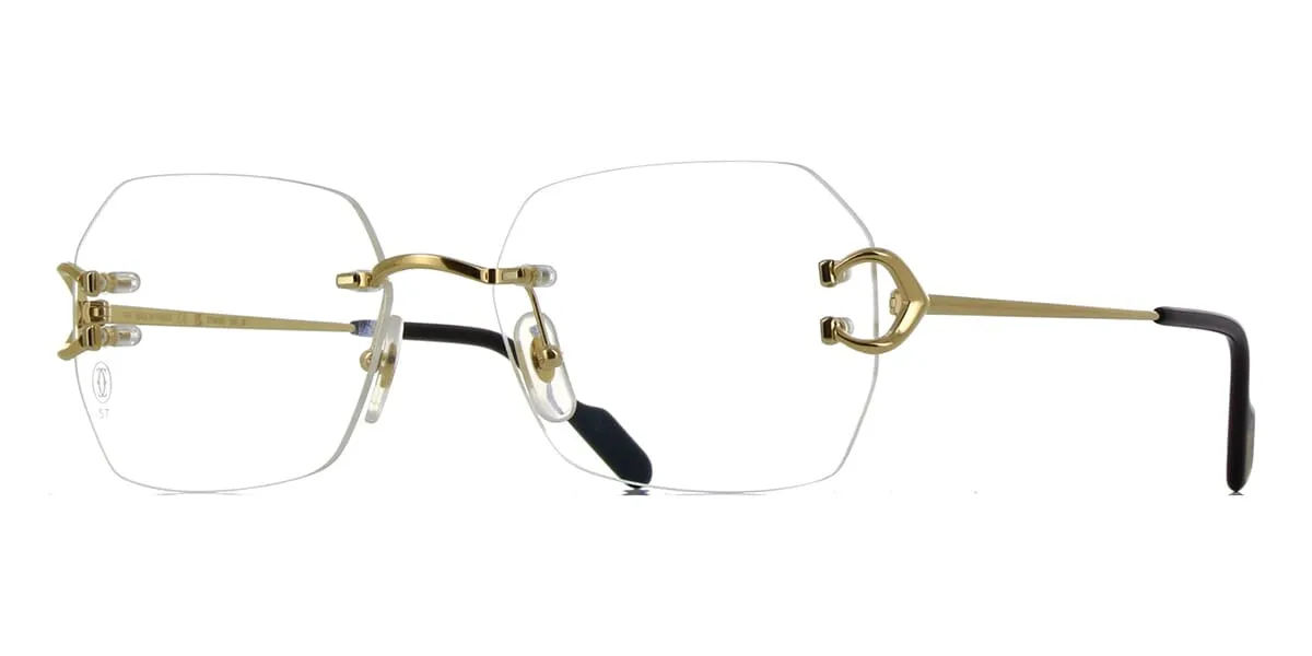 Cartier CT0416O 001