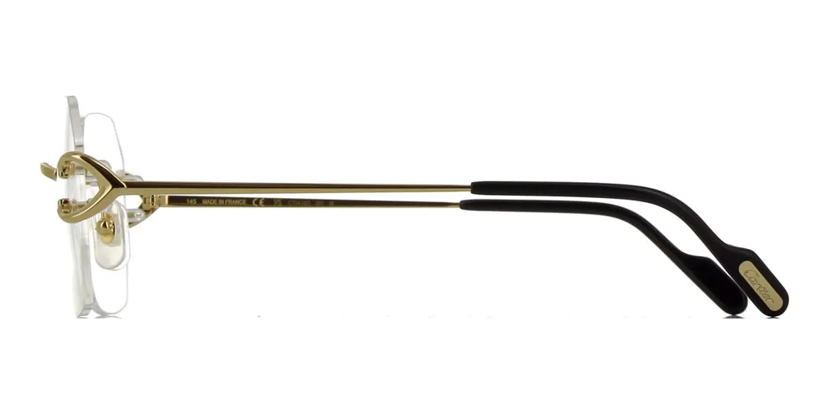 Cartier CT0416O 001