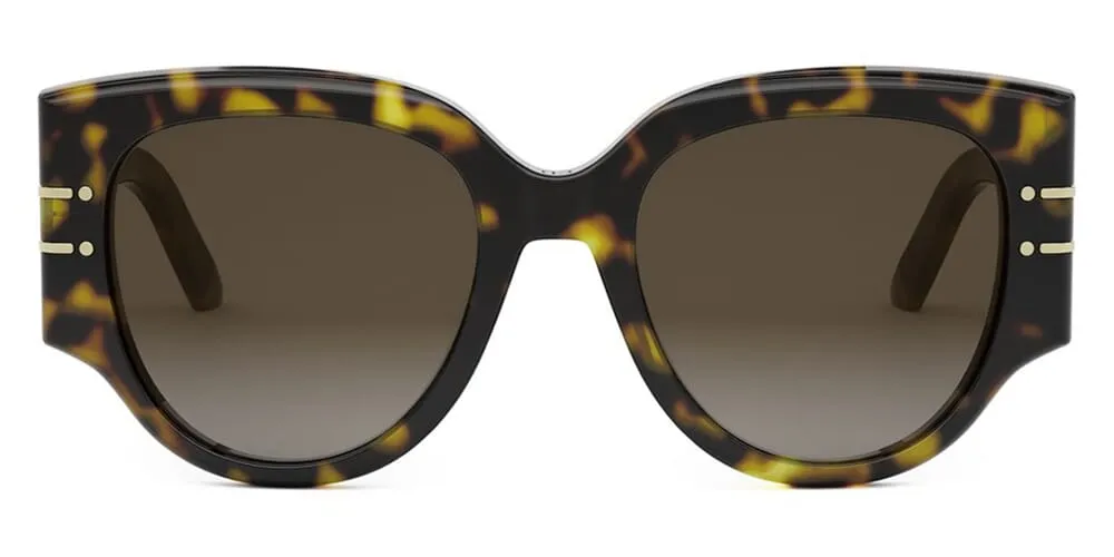 DiorSignature R2I 20F1