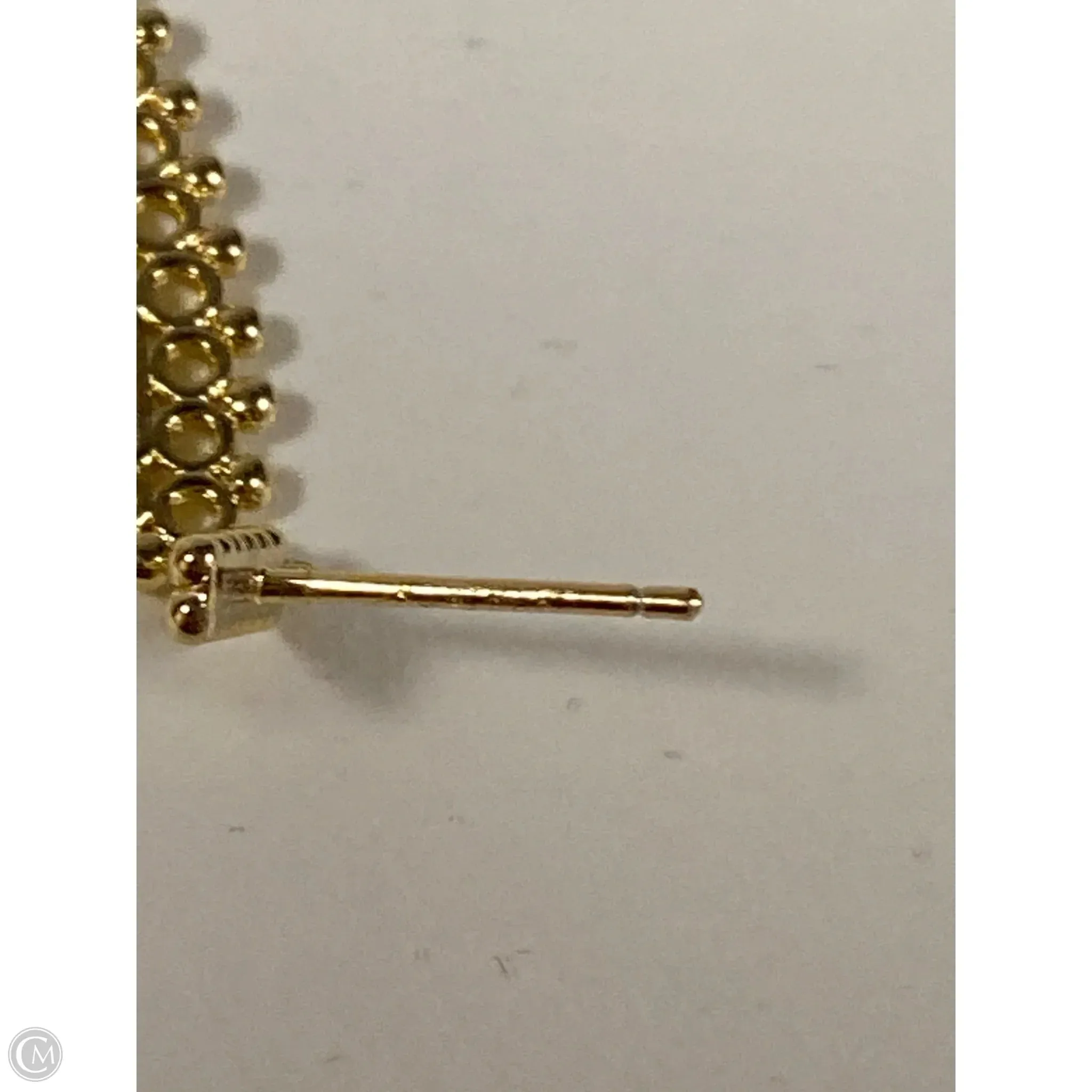 Earrings Dangle/drop By Clothes Mentor