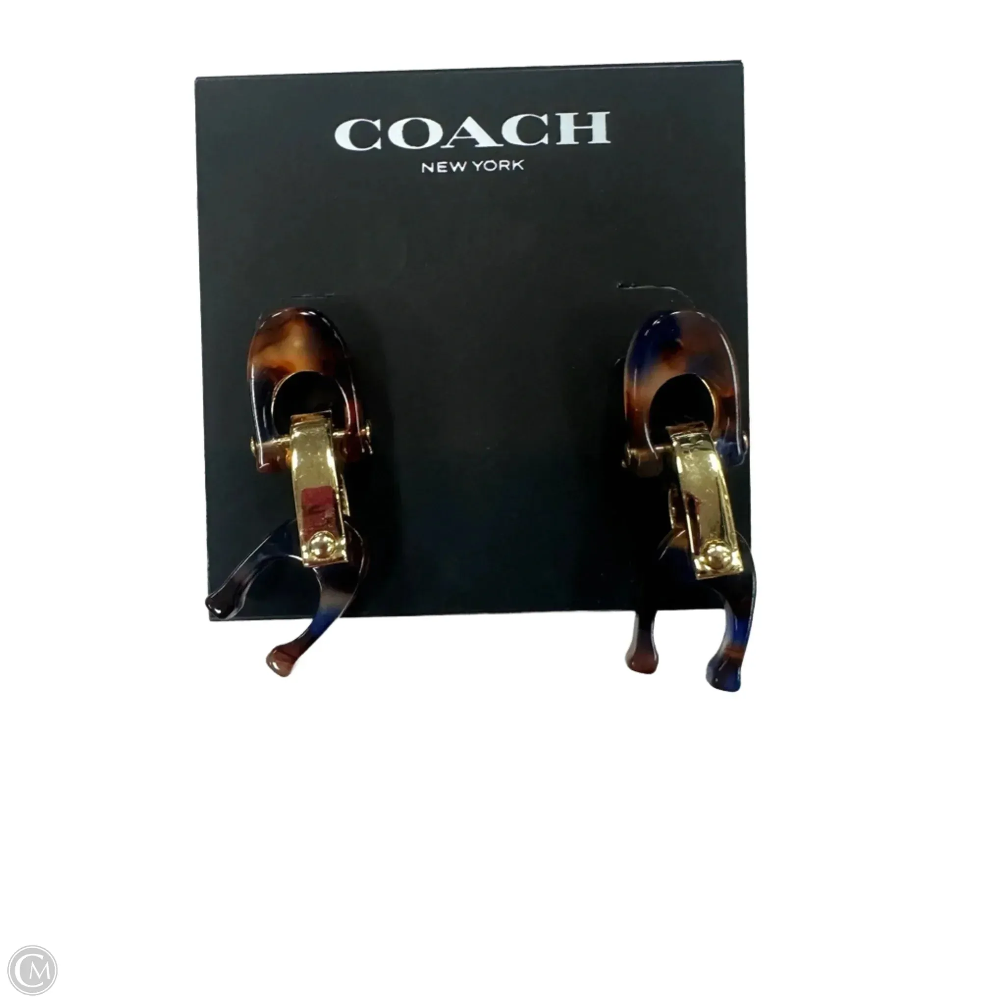 Earrings Designer By Coach