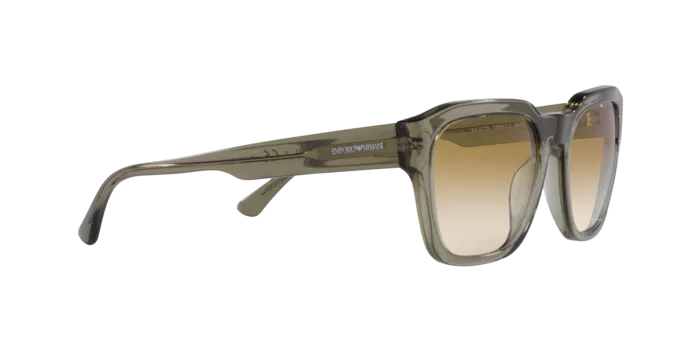 Emporio Armani EA4175 588413