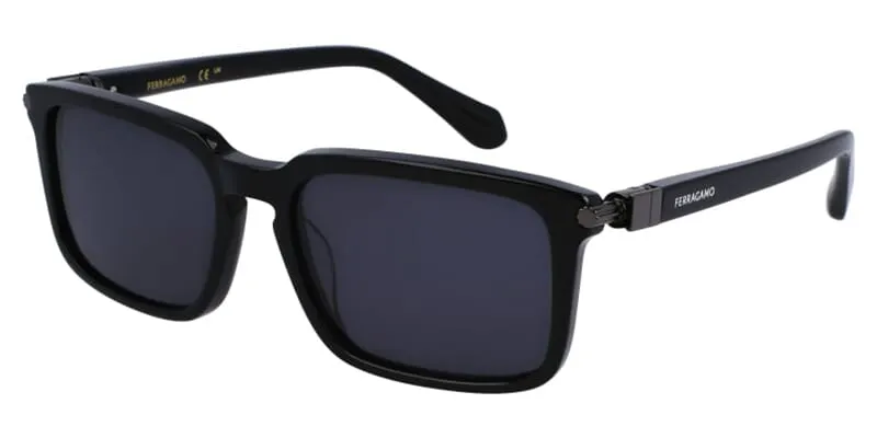 Ferragamo SF1110S 001