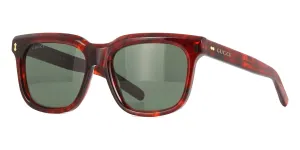 Gucci GG1523S 002