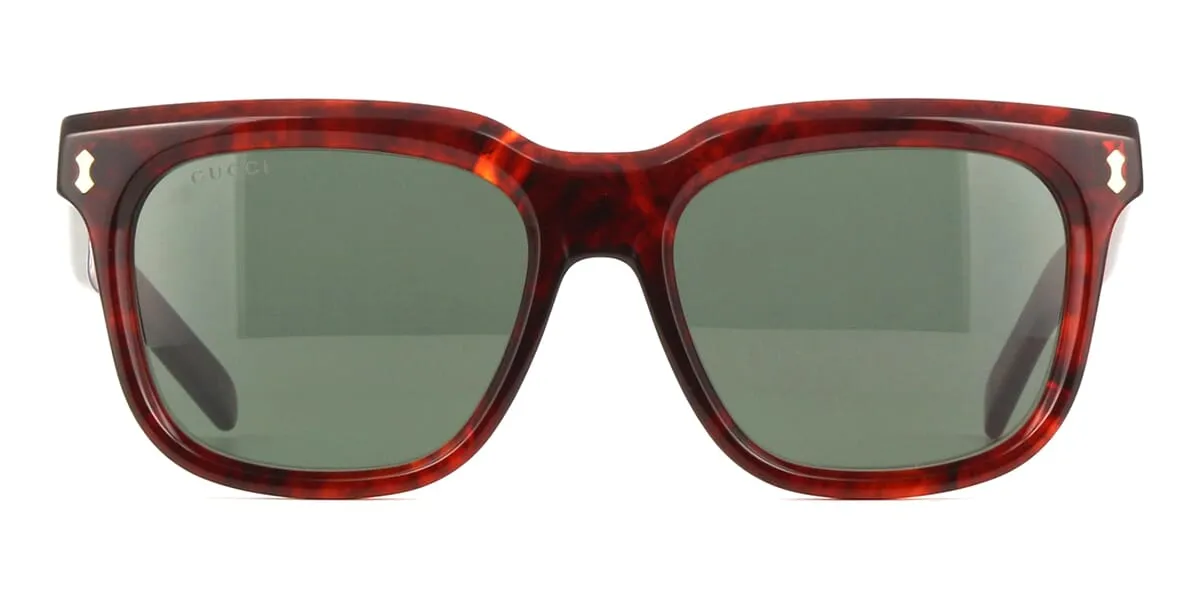 Gucci GG1523S 002