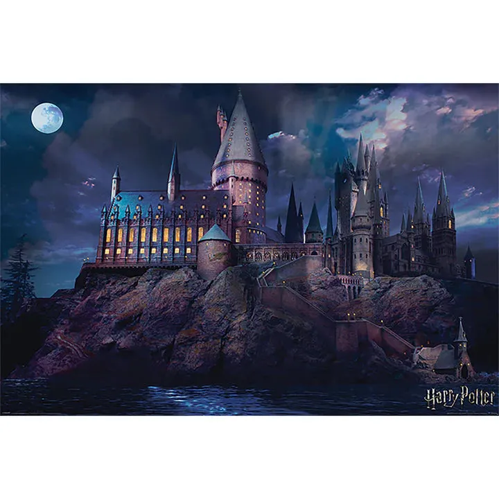 Harry Potter (Hogwarts) Maxi Poster