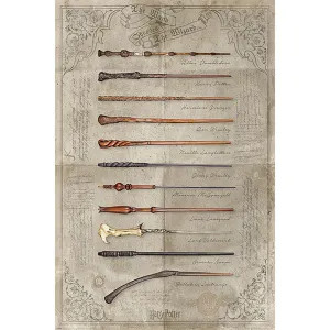Harry Potter (The Wand Chooses The Wizard) 61 X 91.5cm Maxi Poster