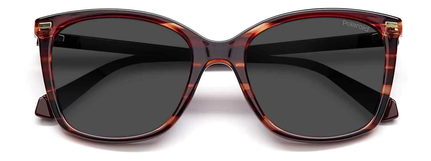 Polaroid Core Polaroid4108 Sunglasses