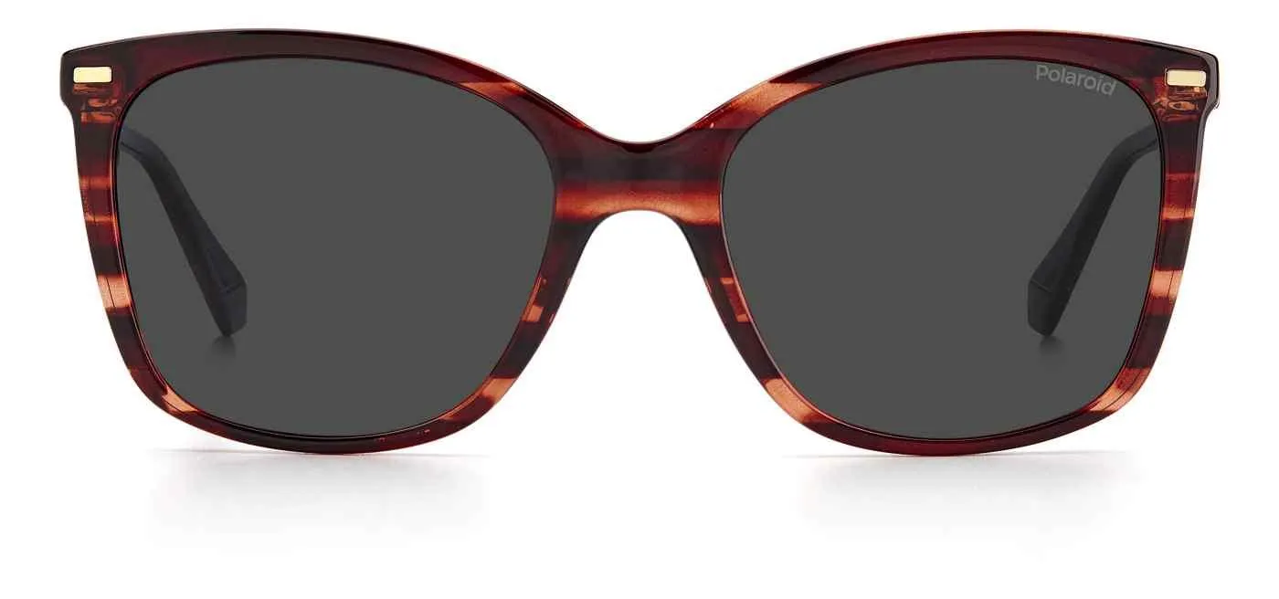 Polaroid Core Polaroid4108 Sunglasses