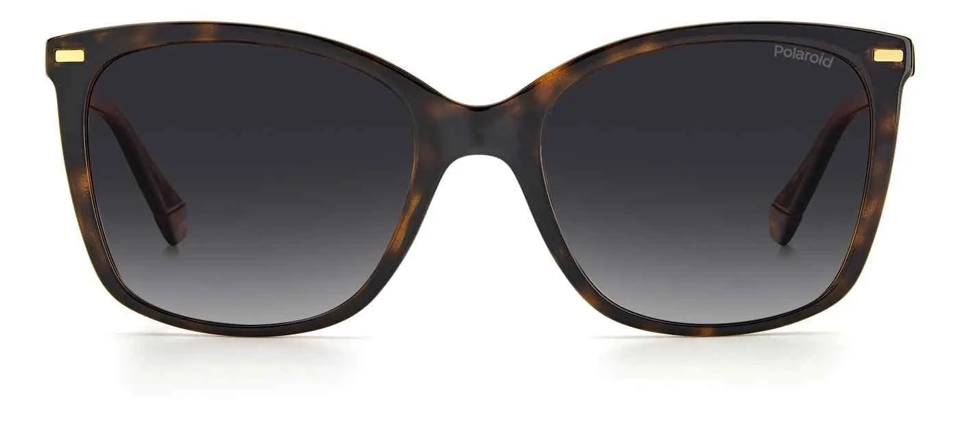 Polaroid Core Polaroid4108 Sunglasses