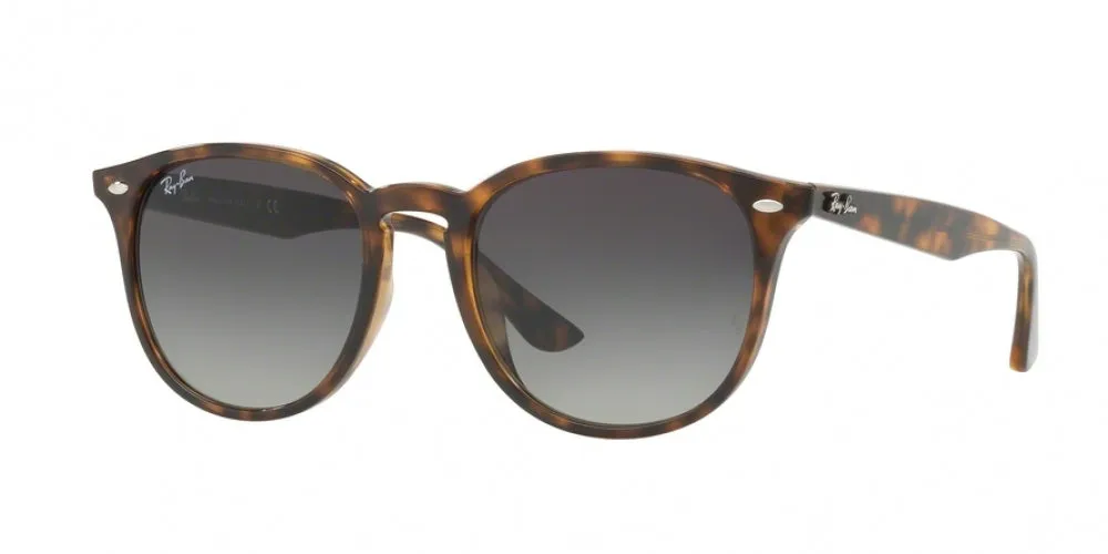 Ray-Ban 4259F Sunglasses