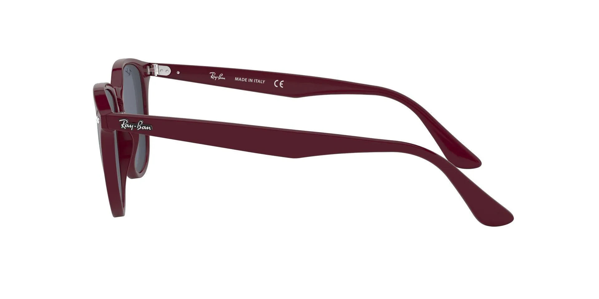 Ray-Ban 4259F Sunglasses