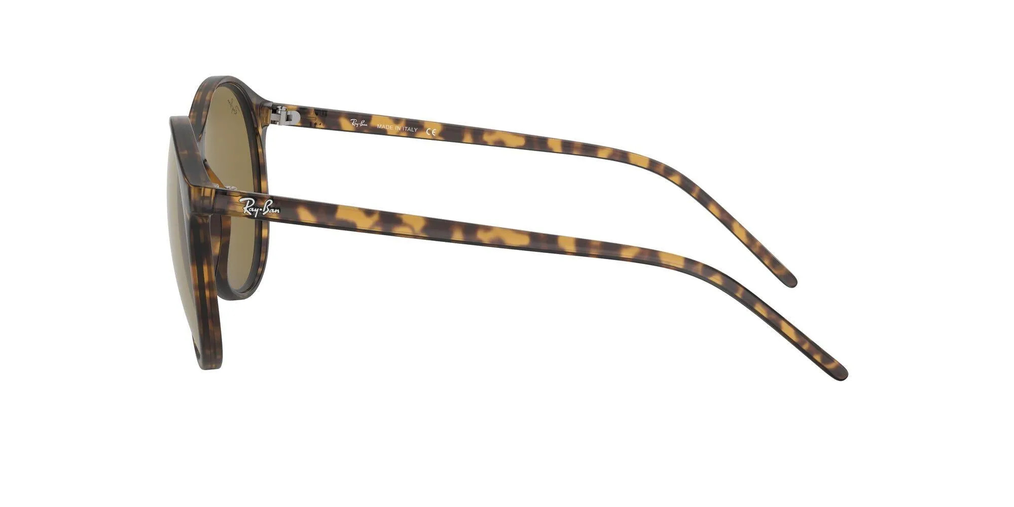 Ray-Ban 4371 Sunglasses