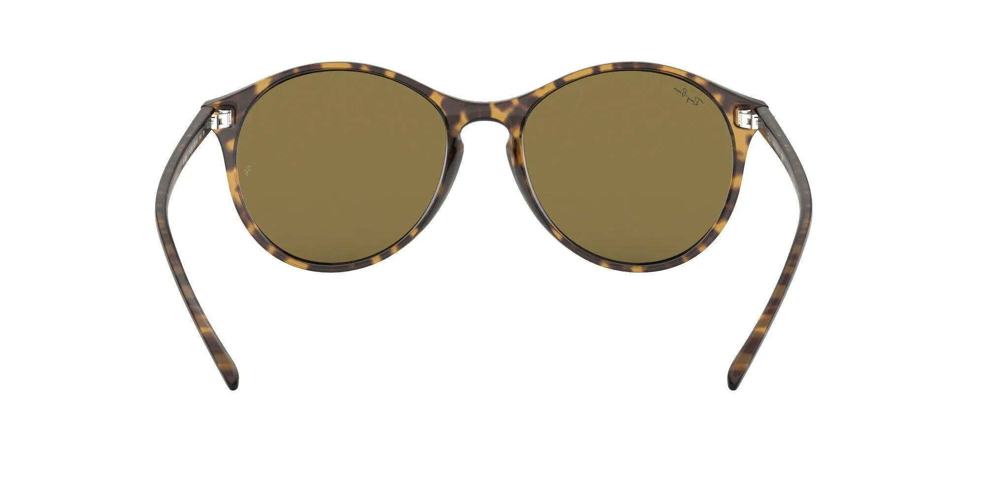 Ray-Ban 4371 Sunglasses