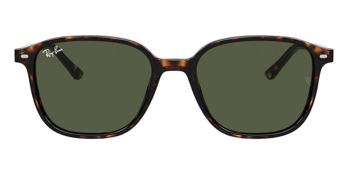 Ray-Ban Leonard RB 2193 902/31