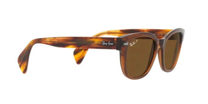 Ray-Ban RB0880S 664057