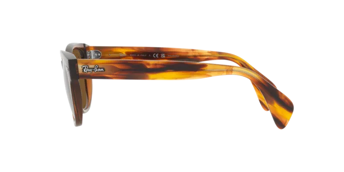Ray-Ban RB0880S 664057