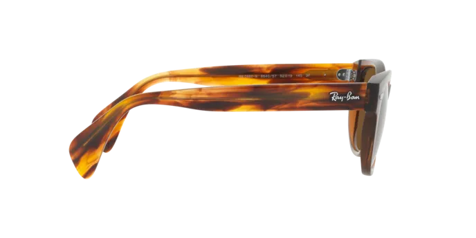 Ray-Ban RB0880S 664057