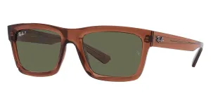 Ray-Ban Warren RB 4396 6678/9A Polarised