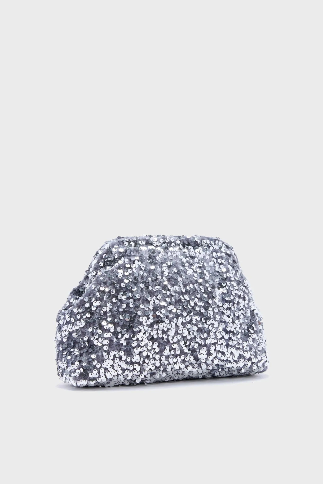Silver Sparkle Clutch