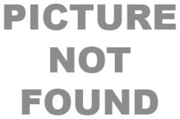 Skechers 1205 Eyeglasses