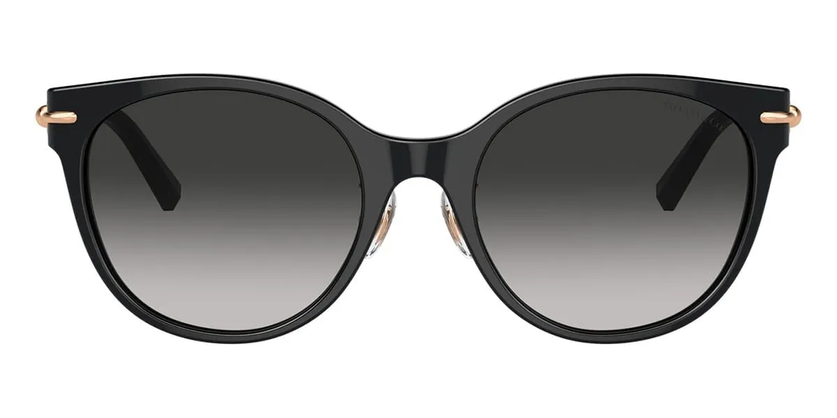 Tiffany & Co TF4223D 800/13C